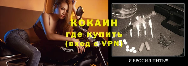крисы Богородицк