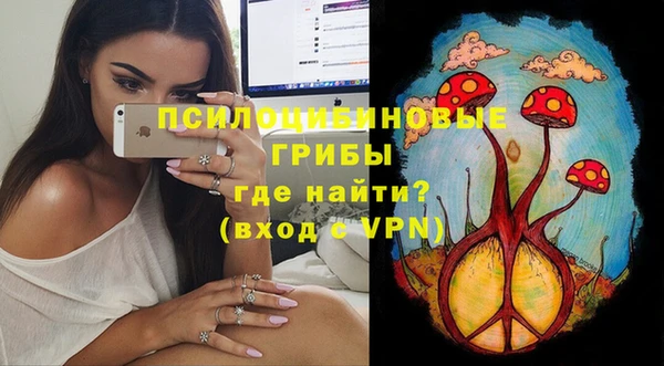 дурь Богданович