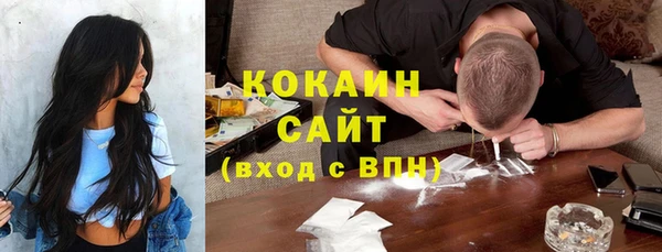 МДПВ Богородск