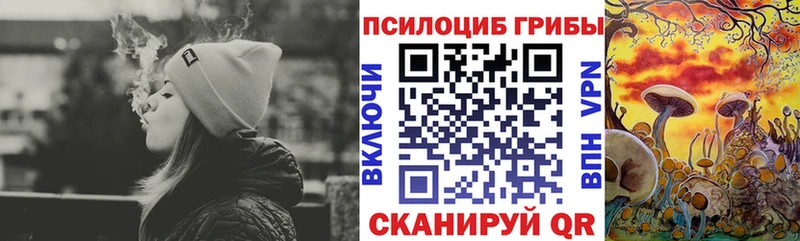 Псилоцибиновые грибы прущие грибы продажа наркотиков Армавир